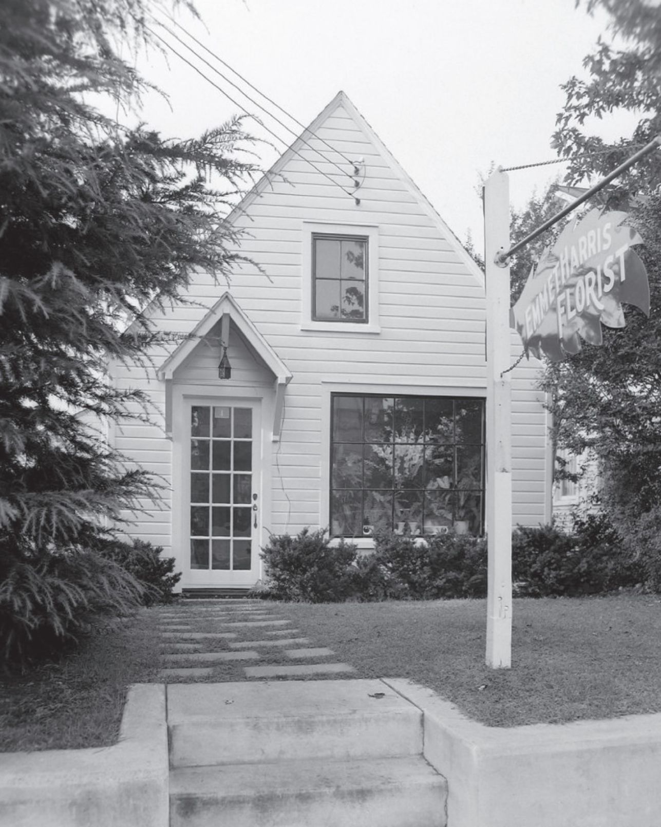Mystery Picture Hint 2020-05-18